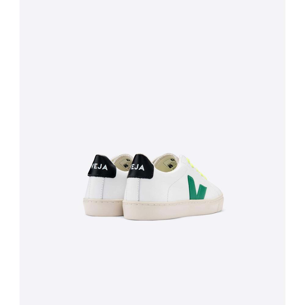 Kids' Veja ESPLAR LEATHER Sneakers White/Green/Black | SG 820NWY